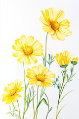 Naklejka premium A Bright Watercolor Painting of Yellow Daffodils in Vibrant Colors