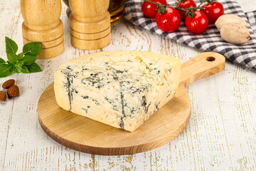Gourmet blue cheese with mold