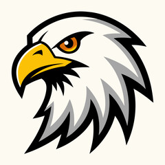 american bald eagle vector illustration