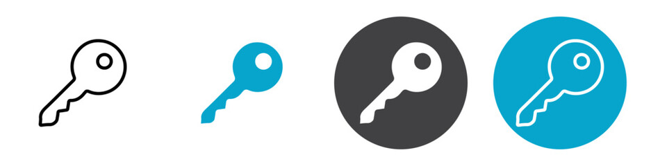 key icon Vector illustration in black