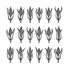 Stylized corn cobs silhouette black and white illustration,