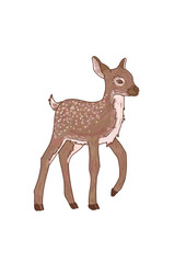 Hand drawn retro illustration of sika deer baby isolated on transparent background. Monochrome flat wild and zoo animals in trendy brown color