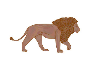 Hand drawn retro illustration of a lion isolated on a transparent background. Monochrome flat wild and zoo animals in trendy brown color