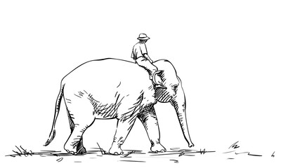Man riding elephant, Hand drawn illustration, Vector sketch of walking elephant with man on the back