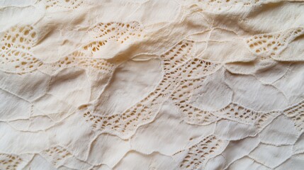 Obraz premium Close-up of a creamy beige fabric with intricate lace detailing. The texture is soft and delicate, creating a romantic and elegant feel.
