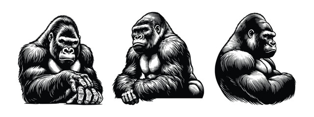 Hand drawn illustration of gorilla. set of black and white gorilla vector sketch illustration