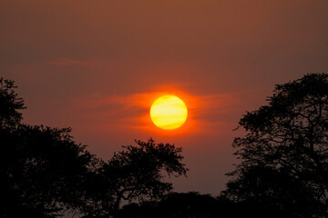 kidepo national park 