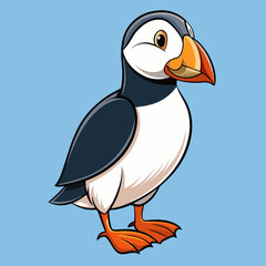 atlantic puffin vector illustration