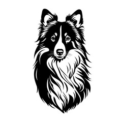 Portrait of a Shetland Sheepdog Dog Vector on white background