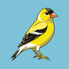 bird, nature, yellow, wildlife, animal, branch, wild, beak, greenfinch, finch, blue, goldfinch, avian, colorful, feather, green, wing, songbird, white, perched, titmouse, small, tree, ornithology, bea