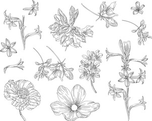 Set of flowers and leaves in vintage style, on a white background.	
