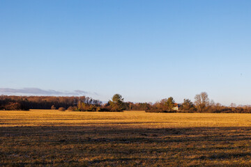 Fototapeta premium Meadows and trees in the morning sunlight in Siebenbrunn near Augsburg