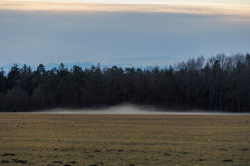 Fog over a meadow at the edge of a forest in January at sunrise in Siebenbrunn near Augsburg