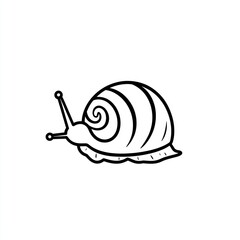Simple black and white snail illustration