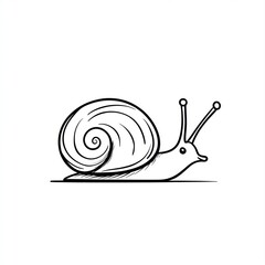 Simple black and white hand-drawn snail illustration