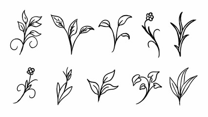 abstract flowers and leaves, hand drawn floral elements in black vector design isolated on white background