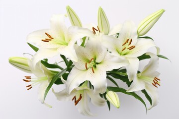 Obraz premium Lilies on White Background. Beautiful Top View of Blooming Lilies, Perfect for Celebrations and Christian Occasions