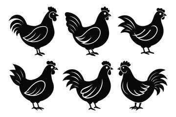 Chicken sets icon vector on White Background ,Vector Art Illustration on white background.