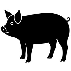 wild boar illustration