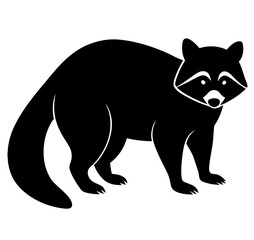 Raccoon silhouette