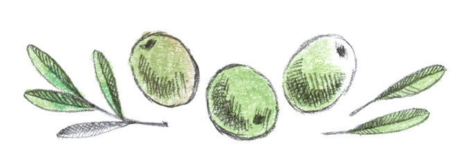 Olive collection: three green olives and some different leaves. Hand-drawn set, graphics. Pencil drawing with colorful pastel elements. Vintage.