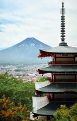Mount Fuji pagoda view tree