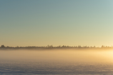 Fog overs snow field in winter in forest