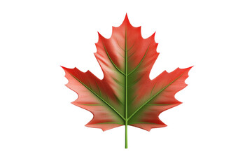 Fototapeta premium Leaf with a green stem and red veins