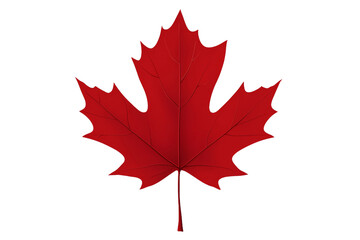 Fototapeta premium Red maple leaf is shown on a white background