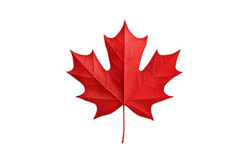 Red maple leaf is shown on a white background