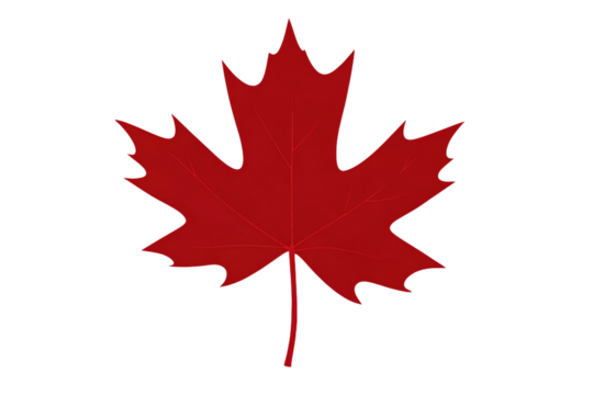 Red maple leaf is shown on a white background