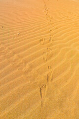 footprints in the sand