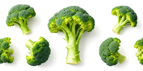 broccoli isolated on white background