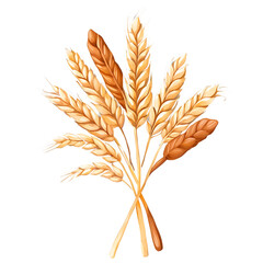 Fototapeta premium Whole Grains watercolor illustration isolated on transparent.