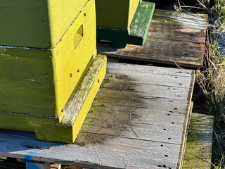 A group of beehive house boxes outdoors in forest in winter season 