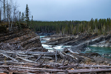 Fallen trees at river on the Alaska Canadian Highway in Canada.