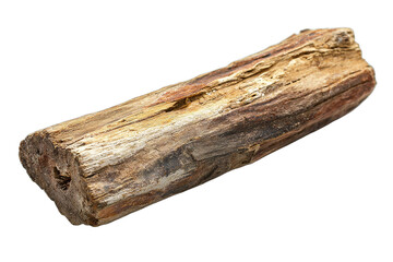 a piece of petrified wood on a transparent background PNG image, PNG file, Generative art.