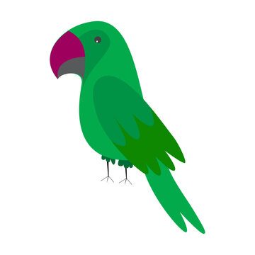 Beautiful green Perot Isolated abstract parrot vector image.