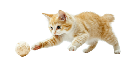 Kitten chasing yarn ball playful fun, isolated on transparent background