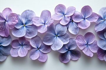 Obraz premium Flowers composition with a frame made of lilac flowers on a stone background. This design represents the Mother's Day and Women's Day concept. Presented in a flat lay, top view