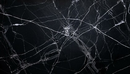 Abstract black marble texture with white veining, resembling a spiderweb.