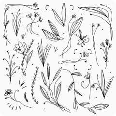 Hand drawing decorative lined floral vector set 