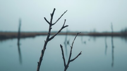 Two bare branches in focus against a blurry tranquil lake and muted sky.