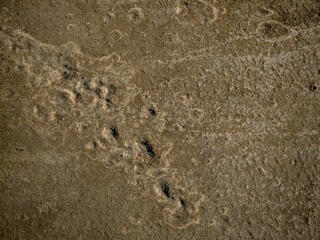 Textur einer Betonwand