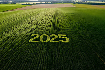 Obraz premium Aerial view shows 2025 inscribed on a green field, symbolizing progress