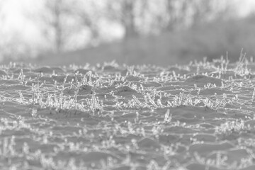 kryształy lodu na źdźbłach trawy na polu zima śnieg © Colorful Soul