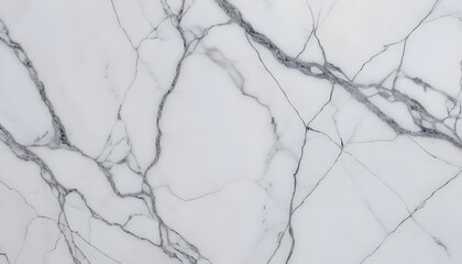 Elegant White Marble Texture with Intricate Veins