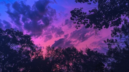 A vibrant sunset sky with swirling purple and pink hues, framed by dark silhouettes of trees and clouds