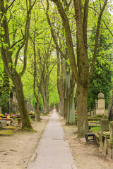 Obraz premium Poland, Warsaw, Wola. Powazki Cemetery, historic over 1 million buried. Began 1790. Site of Polish historical famous tombstones.
