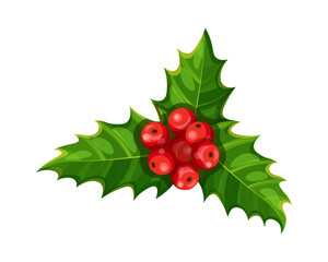 Christmas holly plant in cartoon style. Vector illustration of festive holly with green glossy leaves, red berries isolated on white background. Christmas decoration. Symbol of holiday.